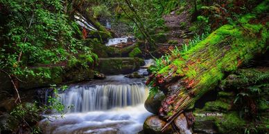 A picture of a small waterfall in a lush green forest