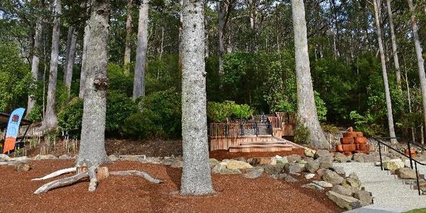 Three large pine trees within a park featuring a timber playground and woodchips on the ground