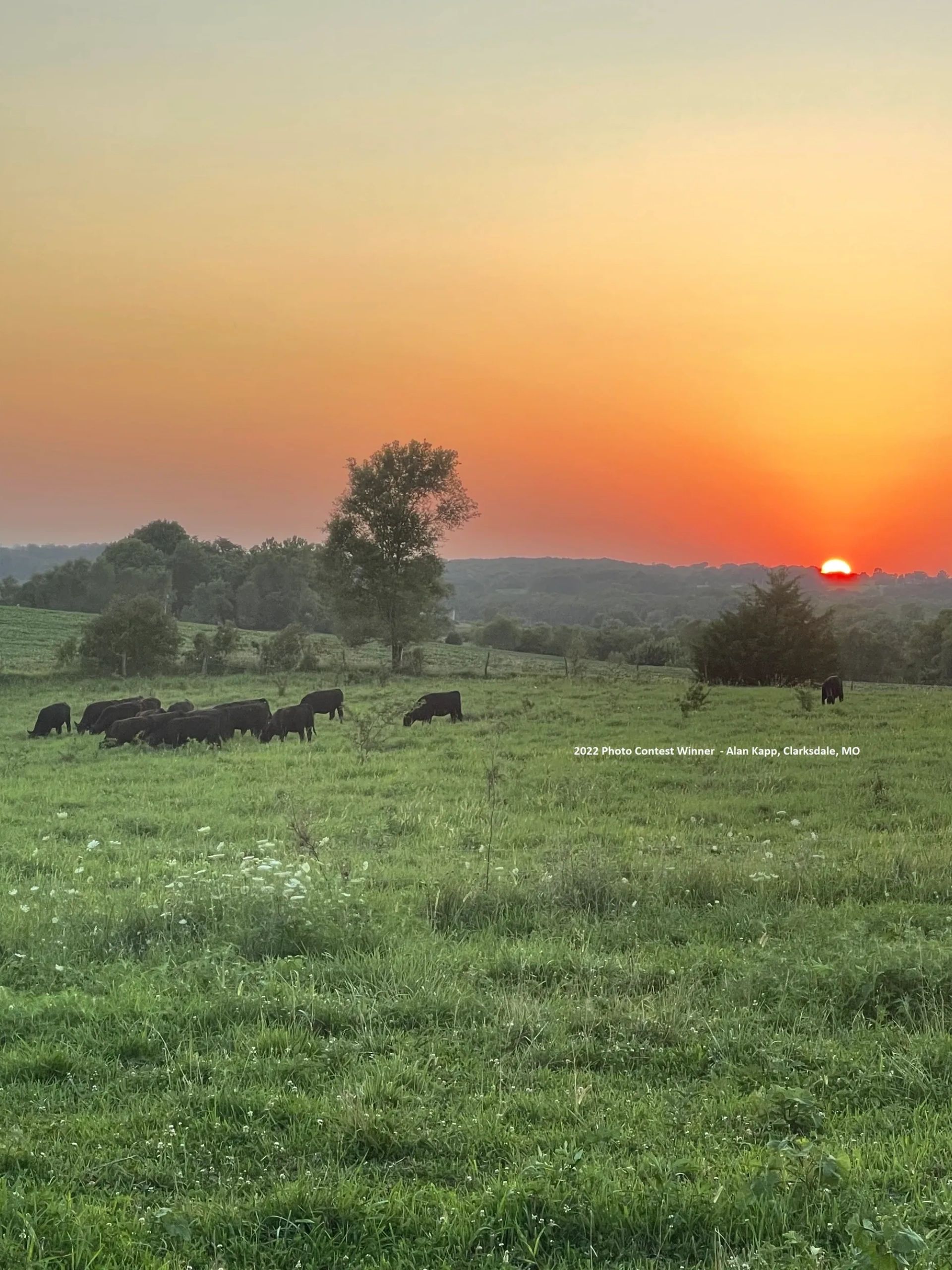 photo-contest-missouri-livestock-symposium