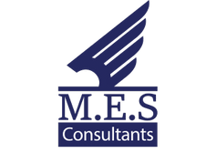 mes-consultants.co.uk