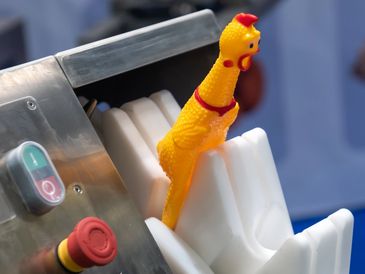 A yellow rubber chicken on a conveyor belt of a factory machine.







