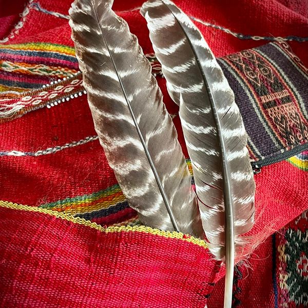 Remote Shamanic Healing
remote_shamanic_healing.jpeg