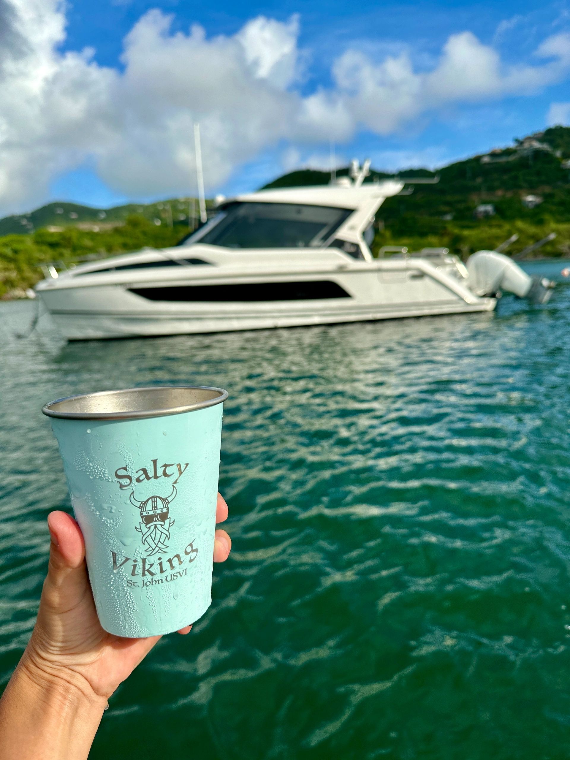 Salty Viking Charters