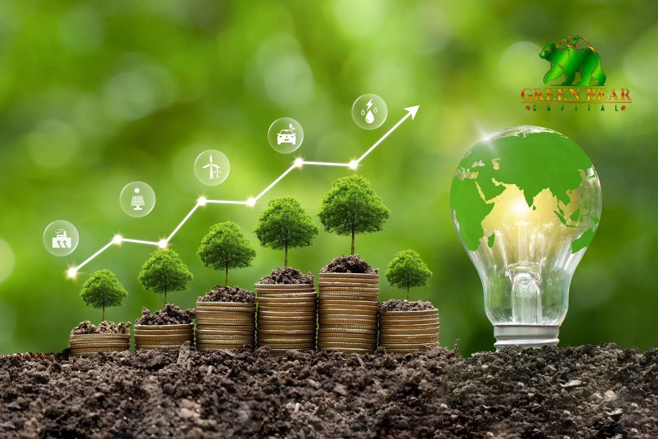 About Us | Green Bear Capital