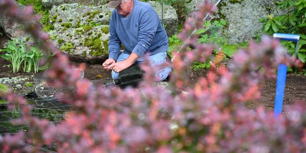 Wilson Scott Sr planting