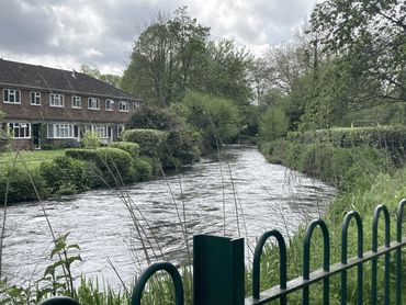 A murky river rolling into a group of trees with modern houses and a green metal fence on each bank.