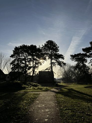 A house and three tall trees at the end of a stone path silhouetted against bright sunlight.