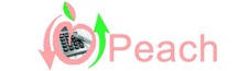 Peach Authorized Accounting Firm