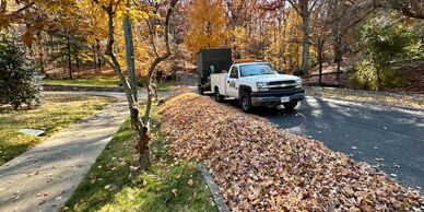 A leaf removal curbside pickup with leaves along the road. 
