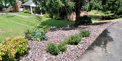 Decorative rock installed with plants. 