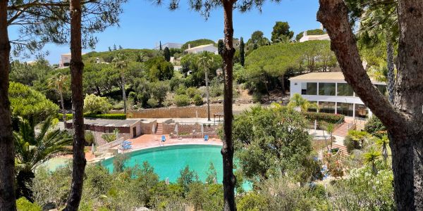 A serene outdoor swimming pool surrounded by trees and greenery.