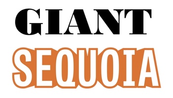 GIANT SEQUOIA
LLC