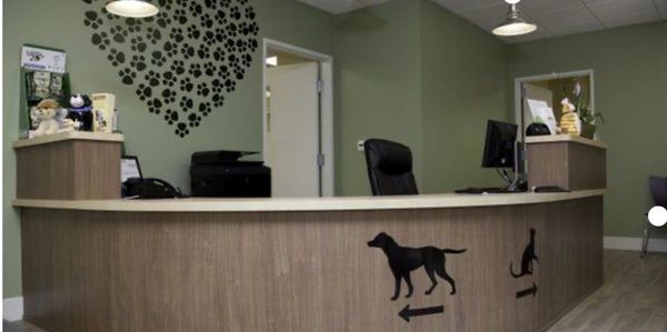 Reception desk in a pet clinic with paw print decorations and animal silhouettes.