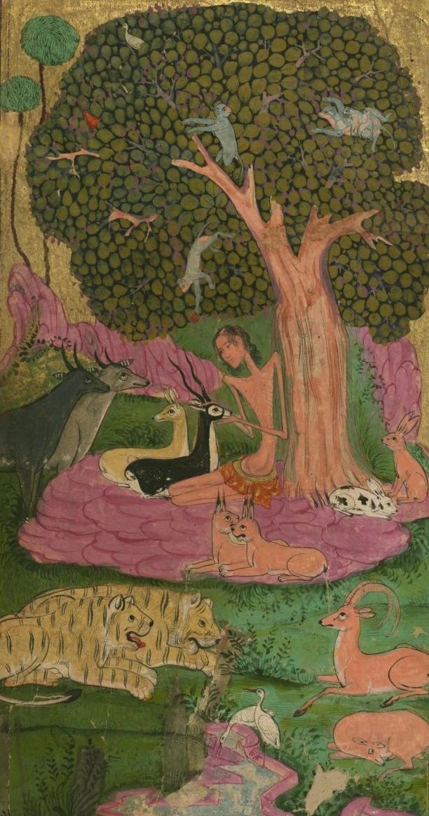 Katya Krutilina yalangoch fotosurat Porno vodoo oyin bola