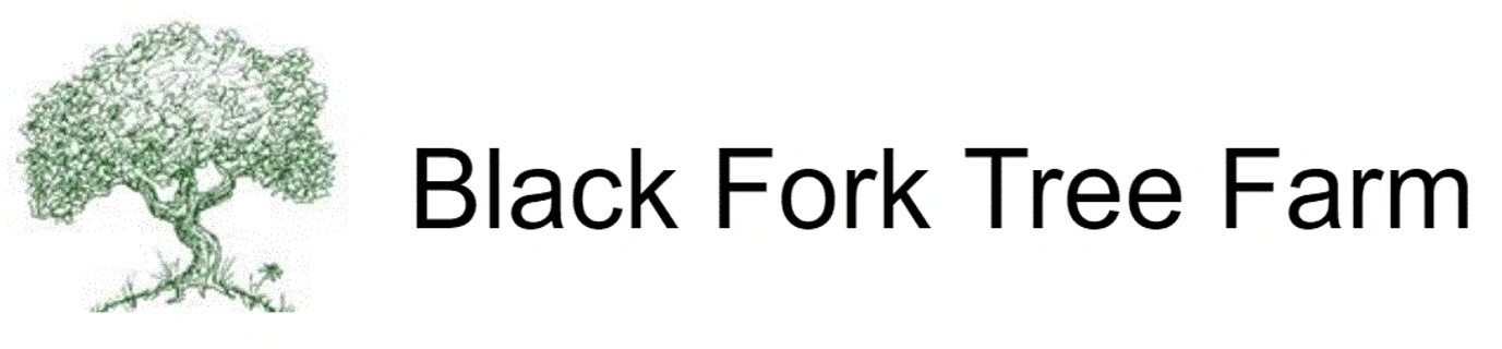 Black Fork Tree Farm