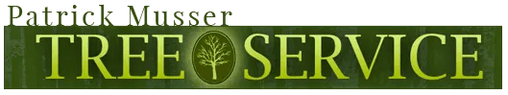 Patrick Musser Tree Service