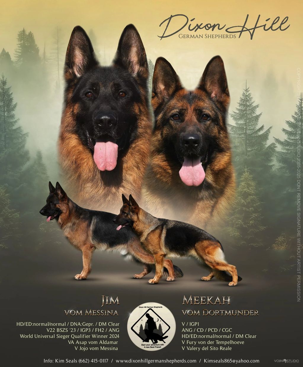 Jim and Meekah litter poster