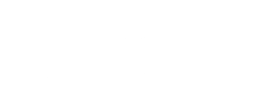 Human Intelligence Solutions