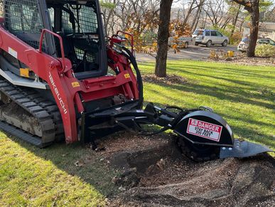 Stump grinding 