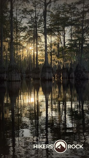 Sunset on a Cyprus tree lake. 