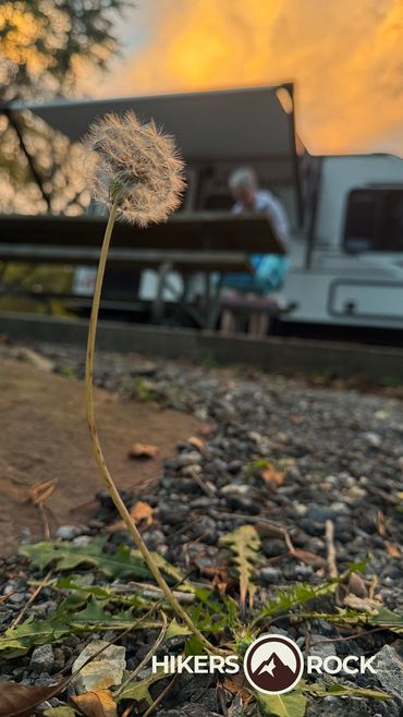 A dandelion and a camper in a sunset sky.