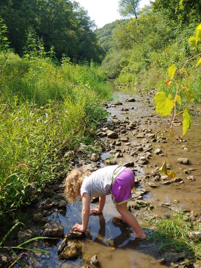 child playing in creek with rocks
