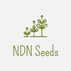 NDN Seeds 