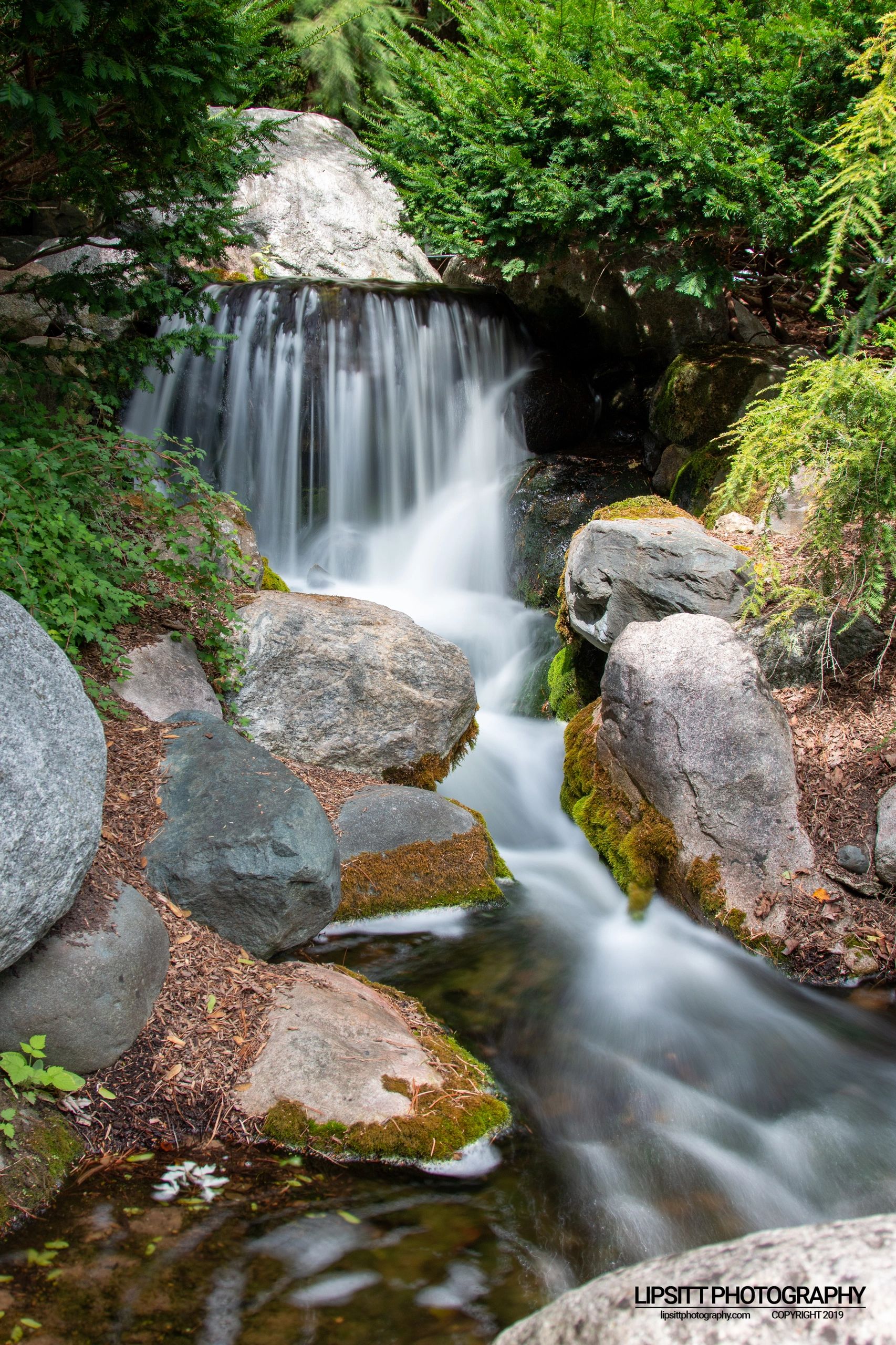 Waterfall – Dow Gardens, Midland, Michigan