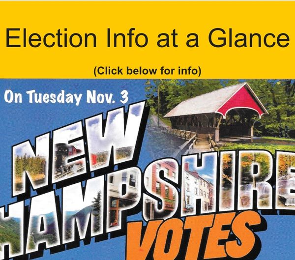 Election info graphic for New Hampshire votes on Nov. 3.