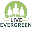 Live Evergreen