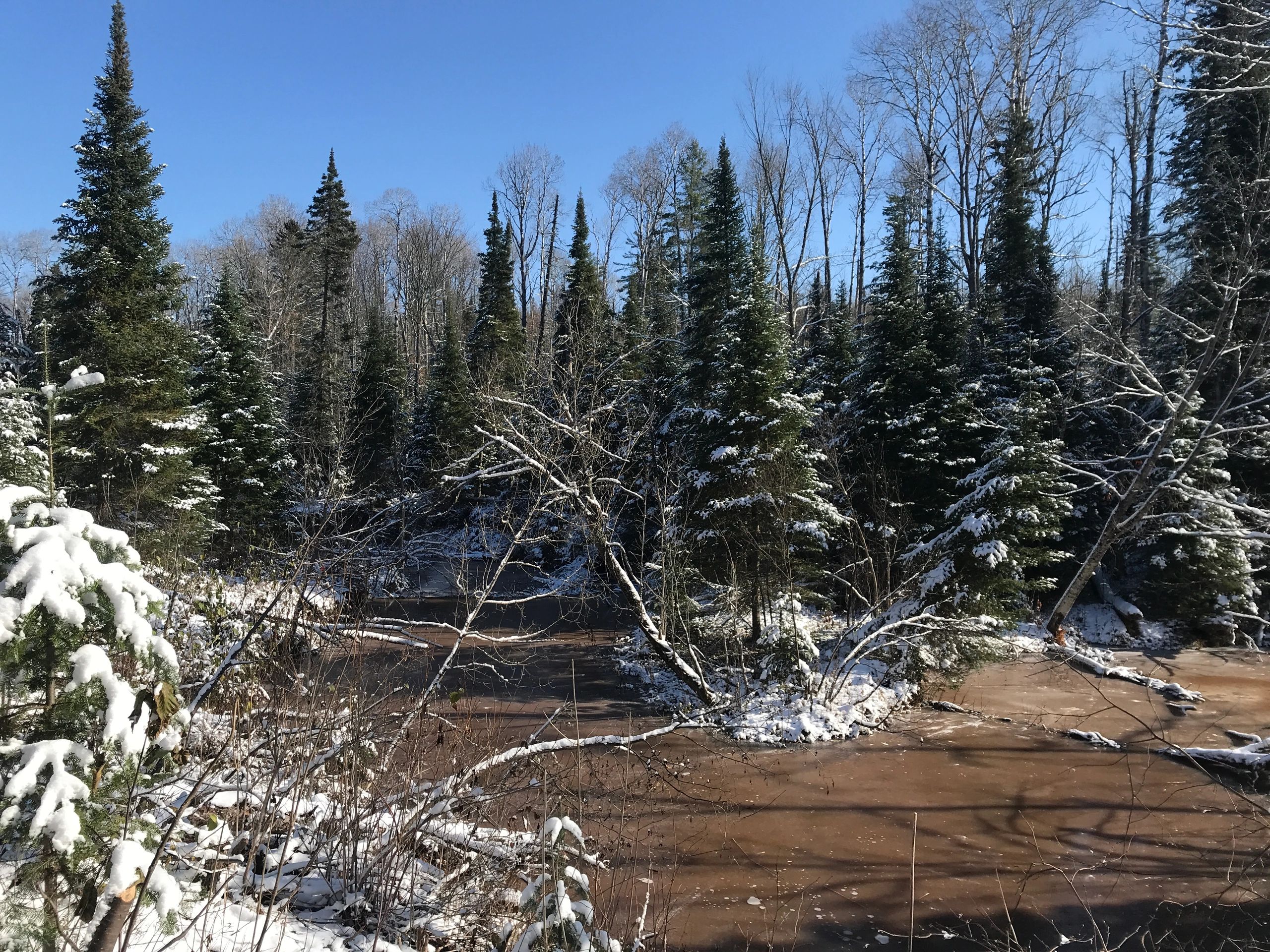 Chippewa Land Specialists LLC Home