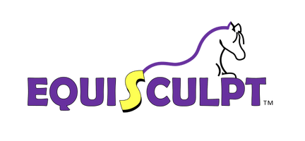 EquiSculpt