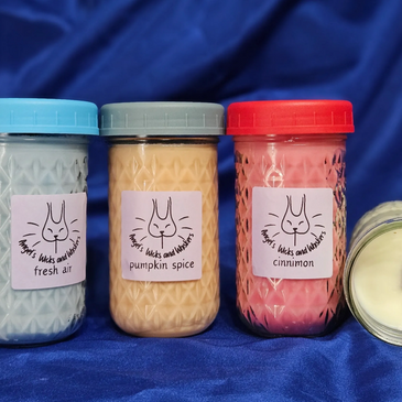 Reusable mason jar candles