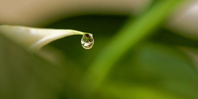 droplet