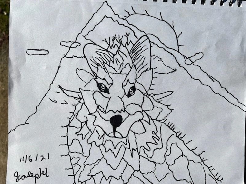 My grandson Joseph Lubo Razon loves to draw and be creative. He drew this wolf for me with Cahuilla 