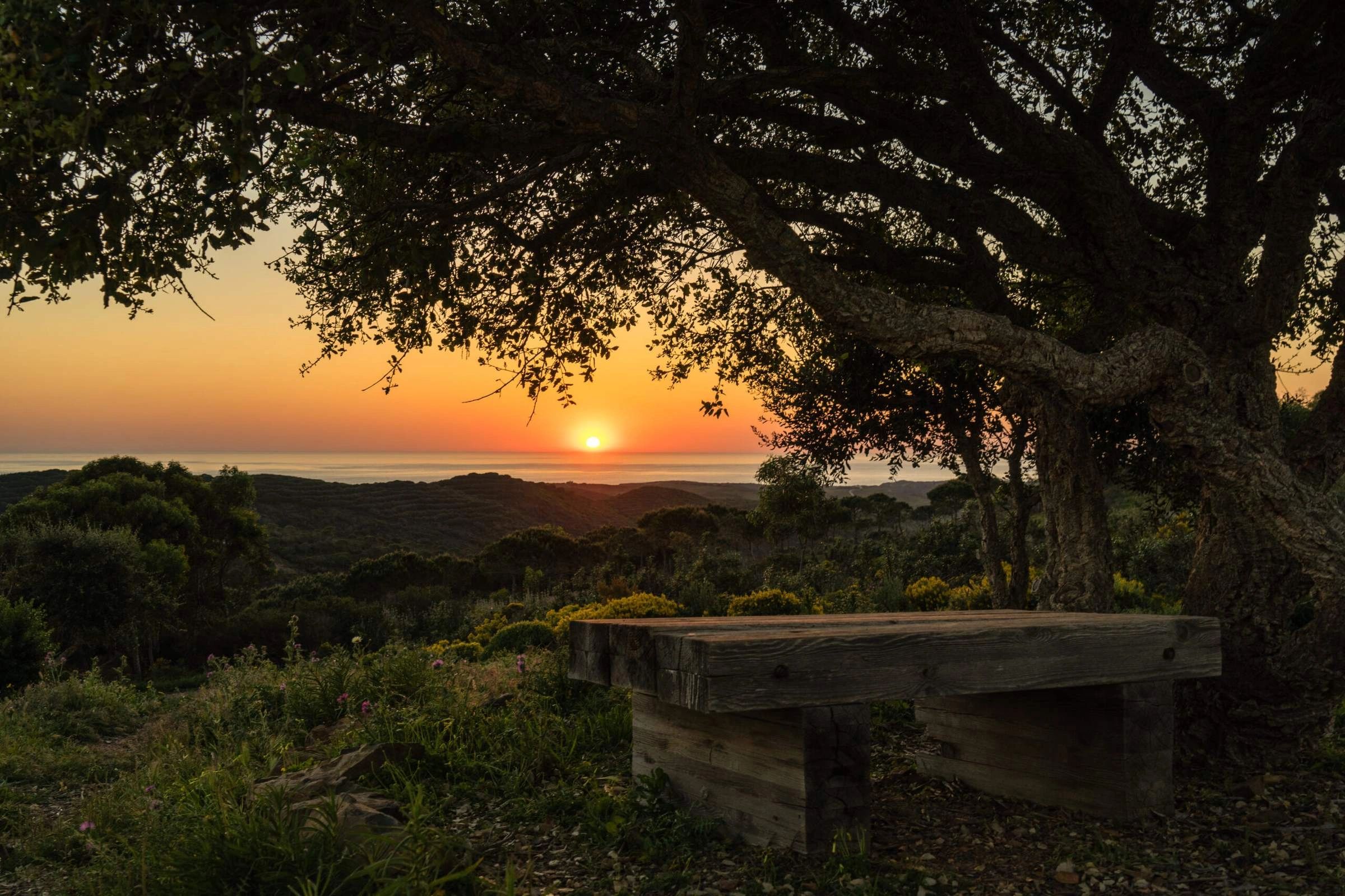 Sun setting over the Atlantic seen from the wooded hills of Monte Velho, with a rustic wooden bench 