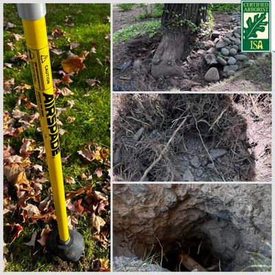 Deep root tree fertilization. 