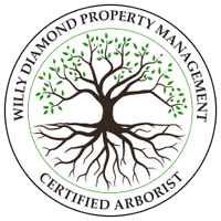 Certified Arborist Orange County, NY