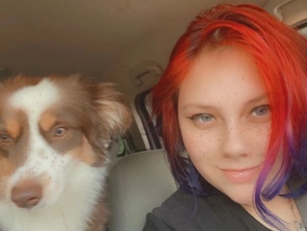 Hailey, Dog Groomer, Australian Shepherd, Creative Grooming