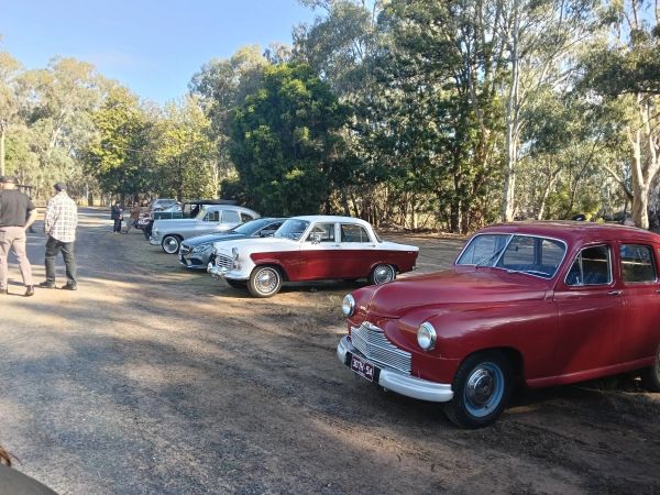 Lineup of vintage cars in a sunny park.