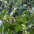 image85