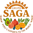 Grupo Saga