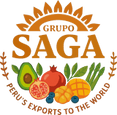 Grupo Saga