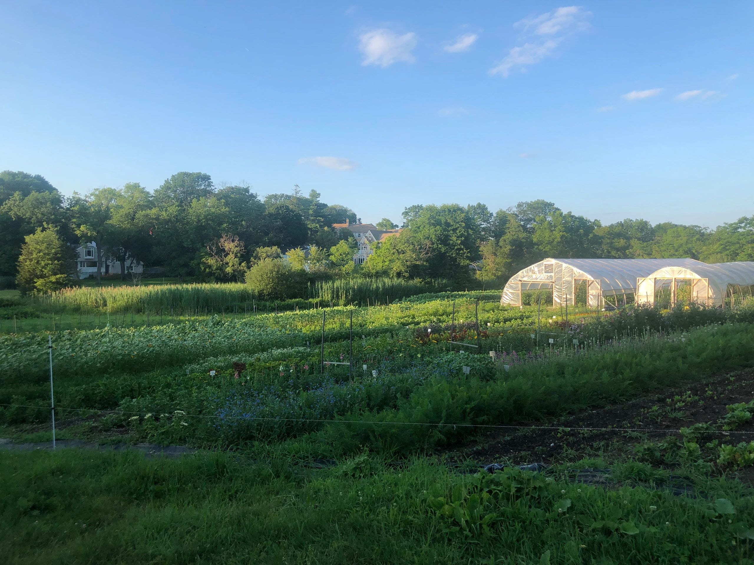 Friends of Holly Hill Farm Inc logo