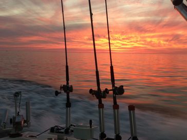 enjoying the trip back in from a great day on the lake.