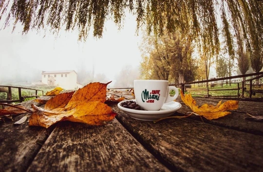 Caffe' Miani, photo 2