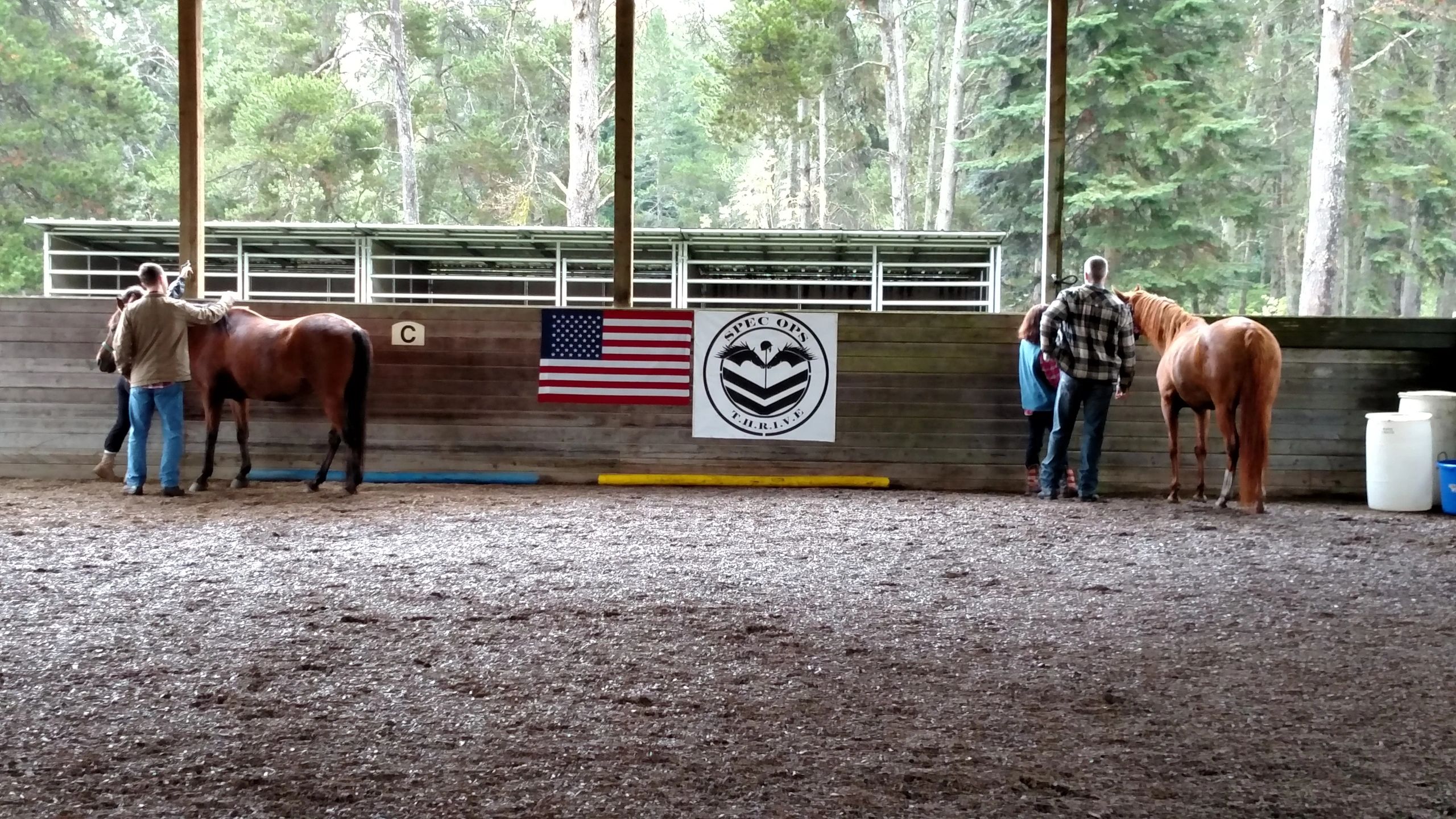 Heartstrides Therapeutic Riding and Horsemanship of Olympia logo