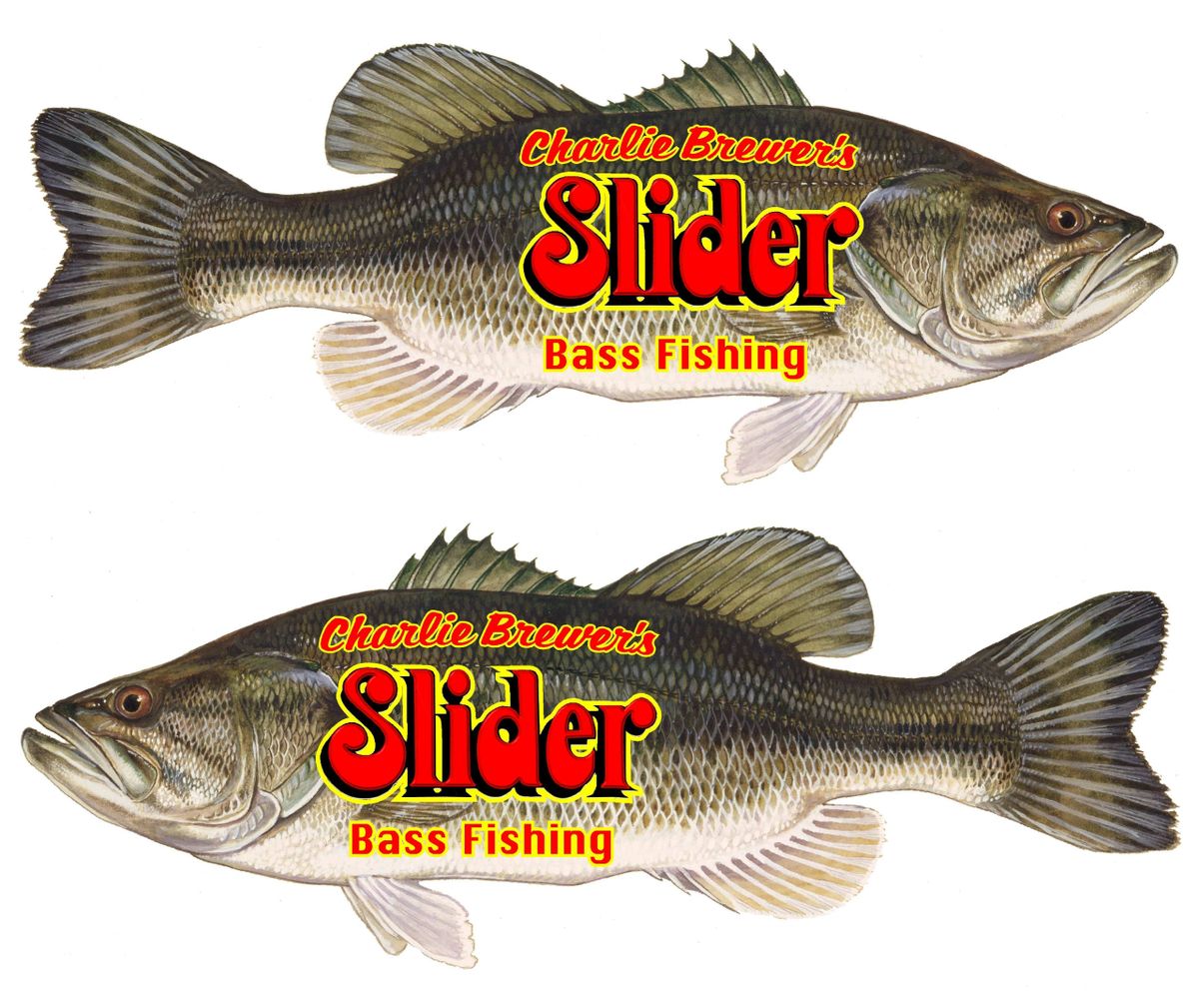 Sticker #4: Slider Two Largemouth Bass Bumper Stickers 12"
