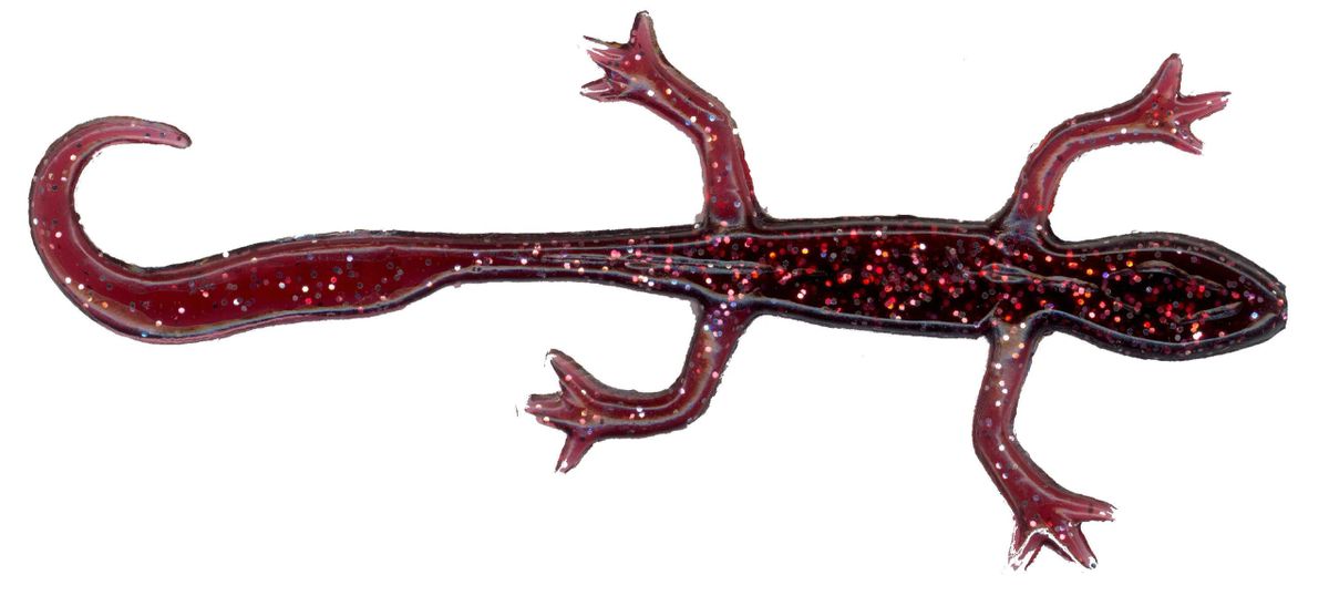 Slider Lizard 4"