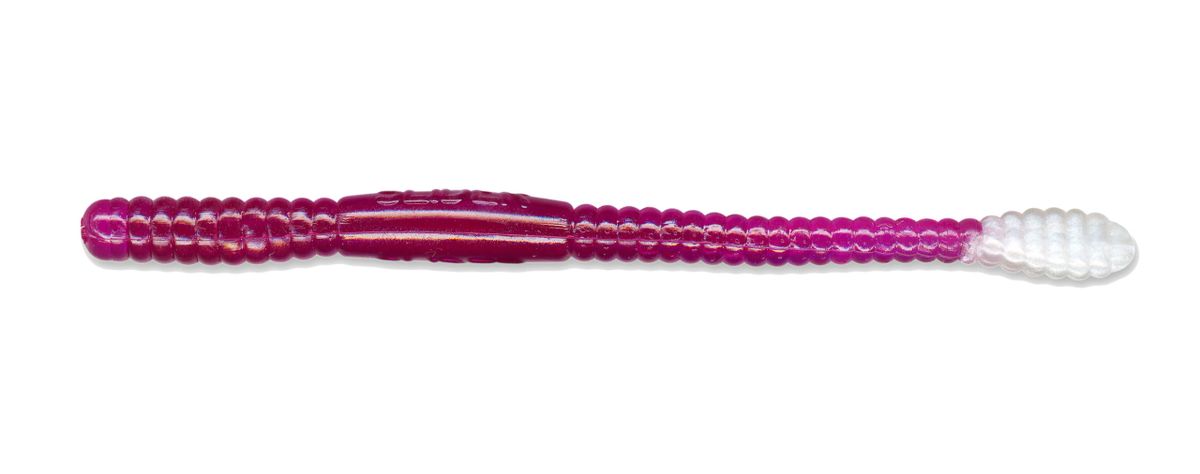 Charlie Brewer Slider 4' Worm 10ct Purple for sale online